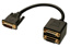 LINDY DVI Dual Link Splitter Cable, 2 Way