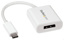 STARTECH USB-C to DisplayPort Adapter